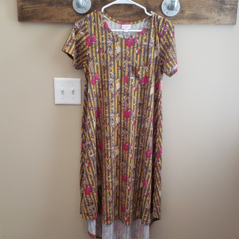 LuLaRoe Carly dress